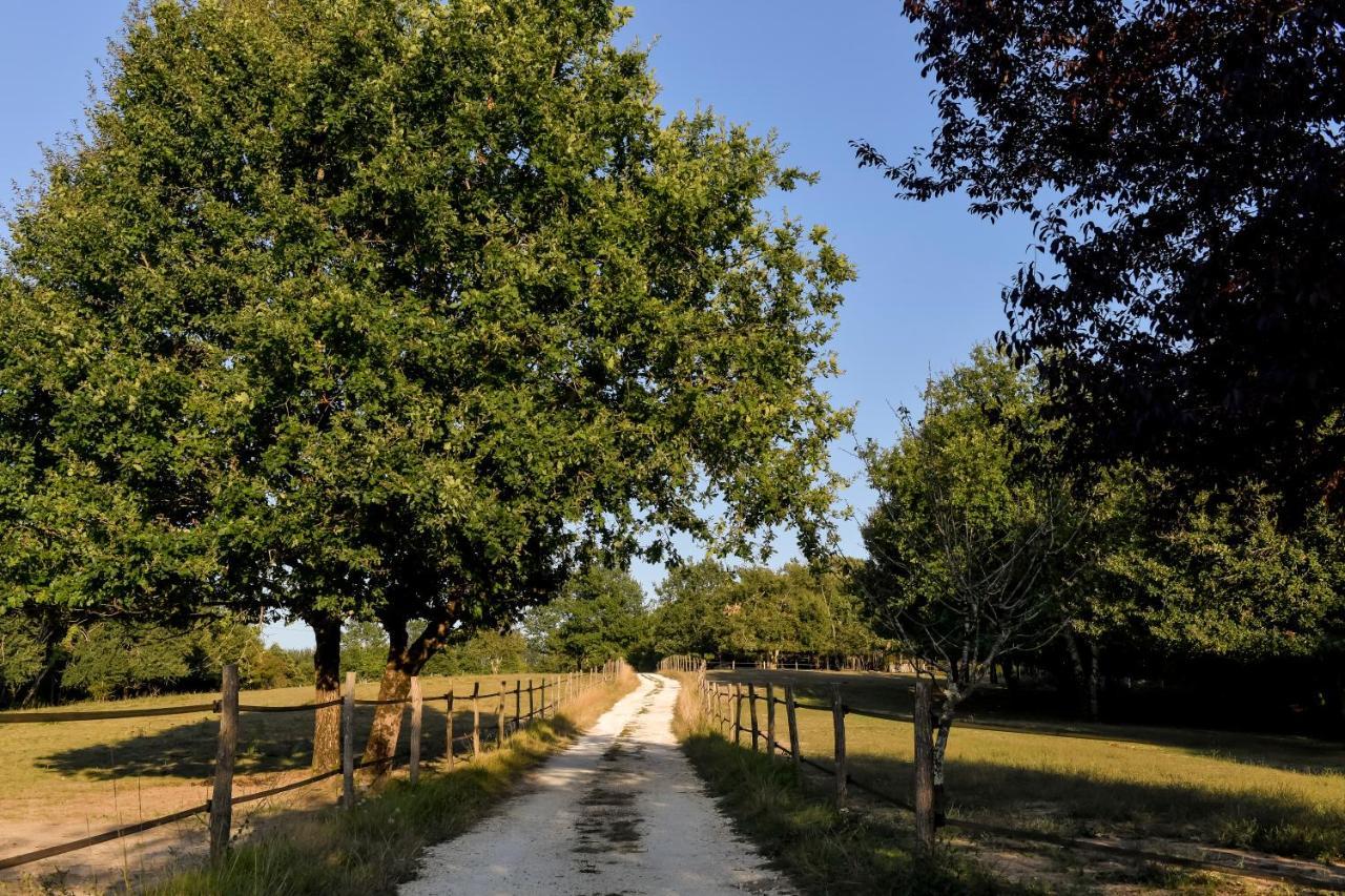 Domaine Verte Vallee Lignan-de-Bordeaux Eksteriør bilde